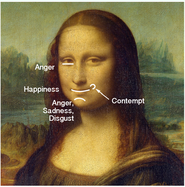 A single ambiguous expression annotated with six conflicting microsentiments — anger, happiness, contempt, sadness and disgust